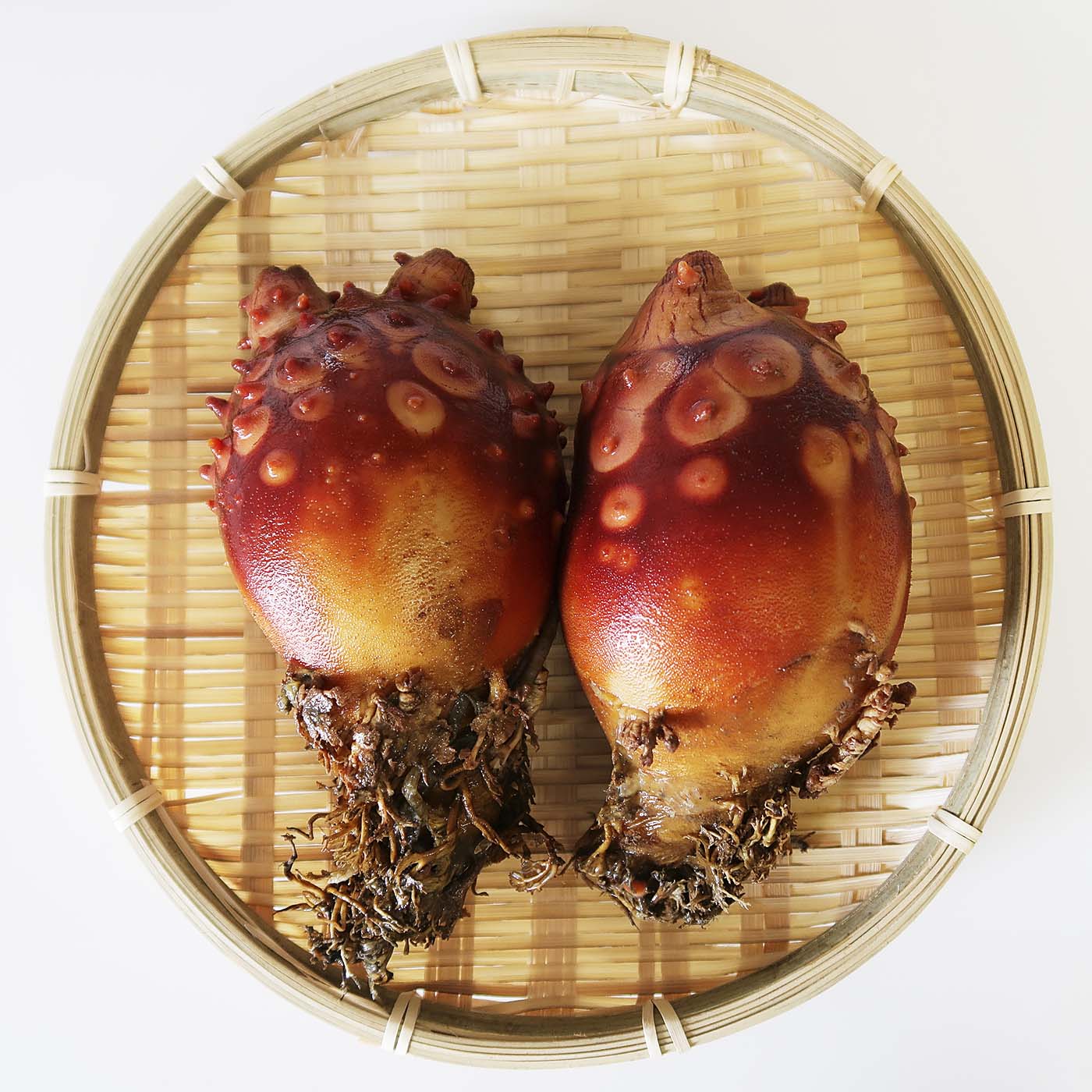 ��Φ�Τۤ�