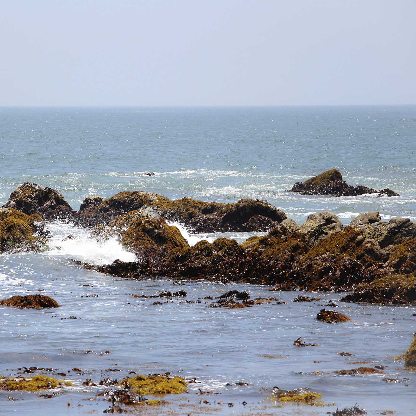 �Ҥ����������뻰Φ�ΰ�